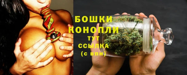 мяу мяу мука Медвежьегорск