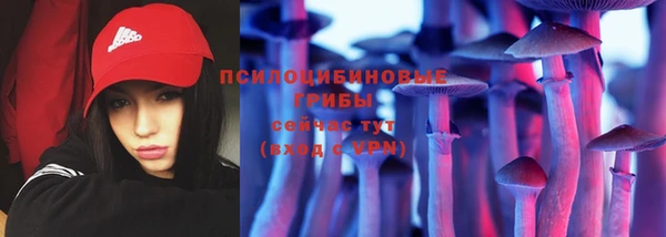 меф Арсеньев