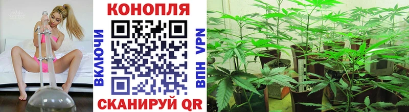Шишки марихуана THC 21%  Купить  Краснослободск 